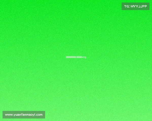 电子竞技挥舞国旗;电子竞技wcg